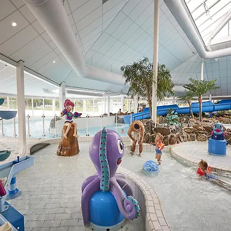 In Limburg With Sauna & Pool Villa Roggel